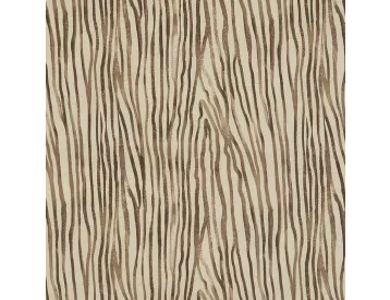 Cedro