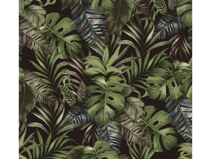 Maranta Preto