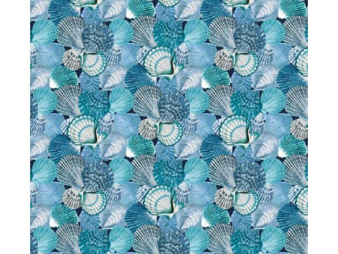 Coquille Azul