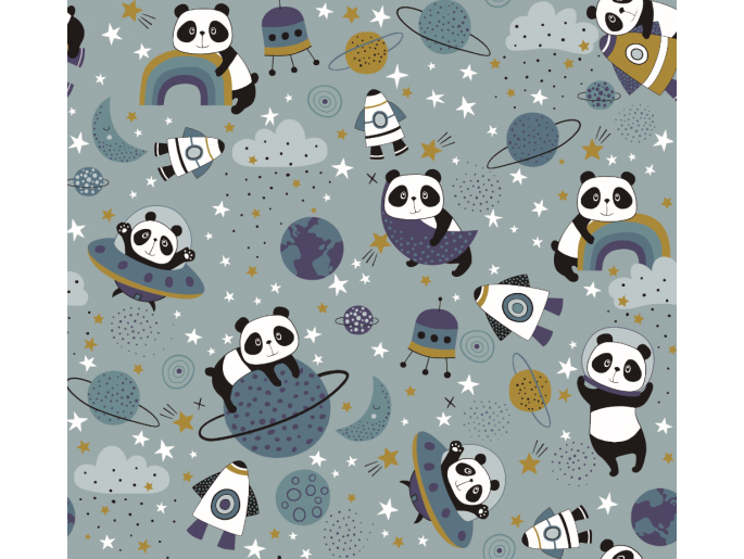 Panda Espacial