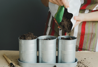 Como fazer uma hortinha doméstica prática com temperos funcionais