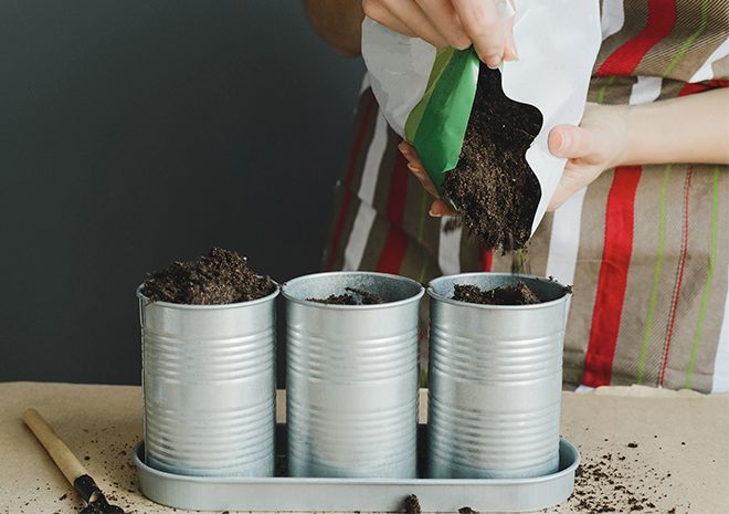 Como fazer uma hortinha doméstica prática com temperos funcionais